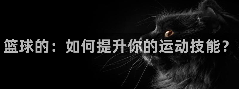 足球比分(24500)即时数据