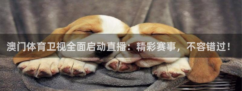 500网足球直播：澳门体育卫视全面启动直